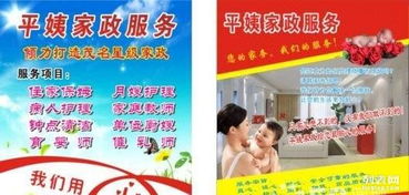 平姨家政 貼心專業，締造舒適生活